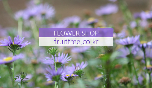 �Ұ��̹���